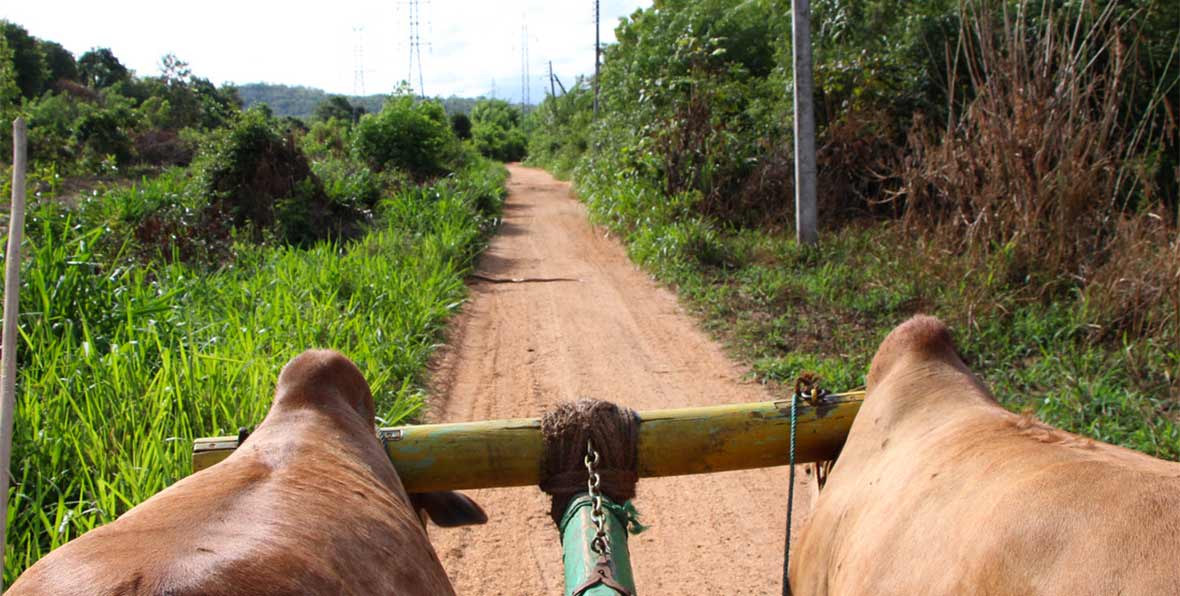 Hiriwadunna Sri Lanka - arenatours.com