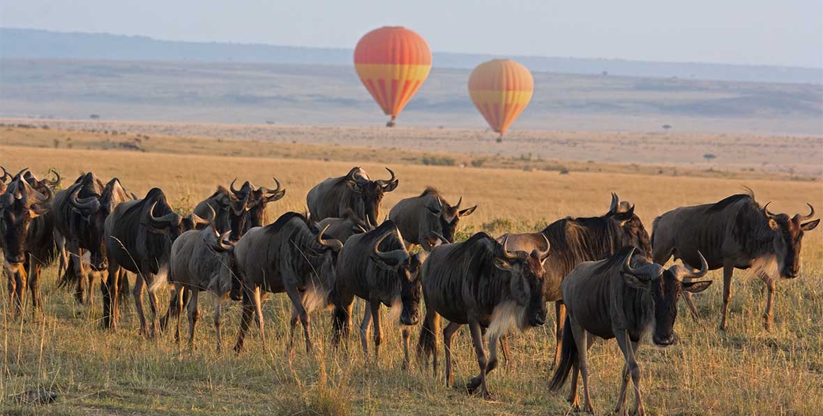 Viaje Kenia Safari Globo - arenatours.com